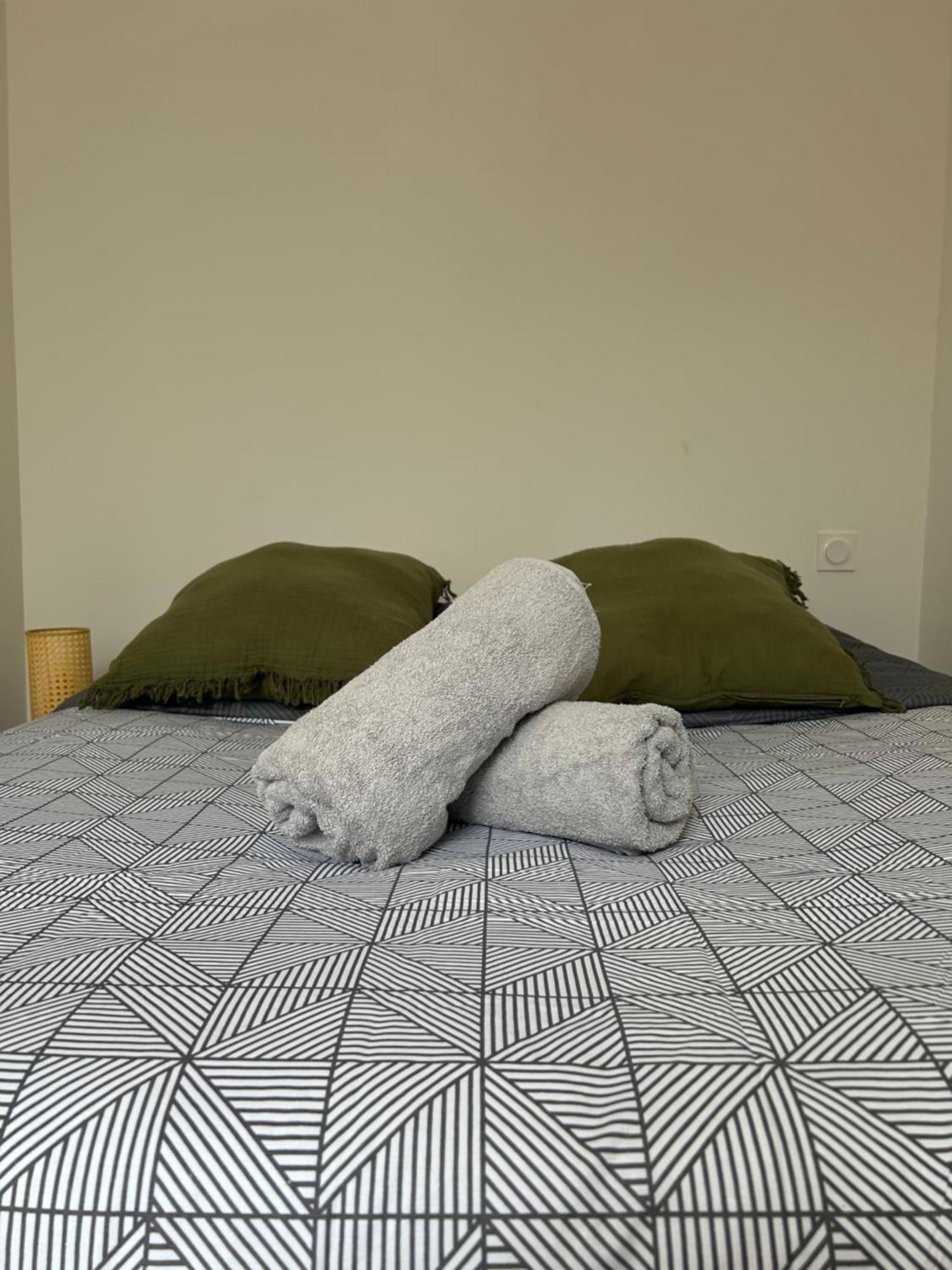 Le Toulousain 101 - Appartement Calme En Hypercentre - Quartier Jeanne D'Arc 툴루즈 외부 사진